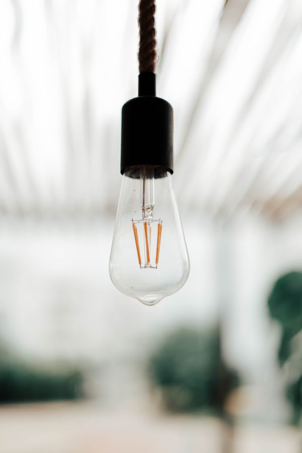 A clear LED filament bulb